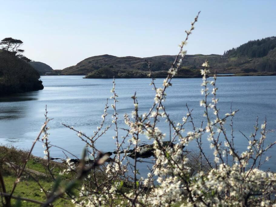 Lough Hyne Cottage スキバリーン エクステリア 写真
